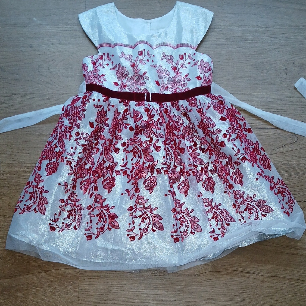 Jona Michelle Silver and Red Dress